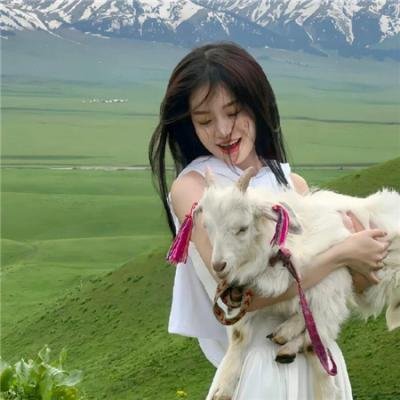 庞克不死，只是抓狂